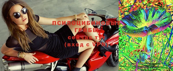 крисы Абдулино