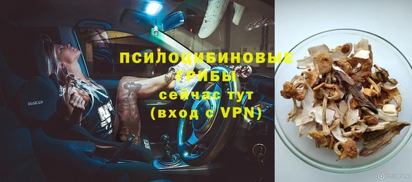 сатива Алексин